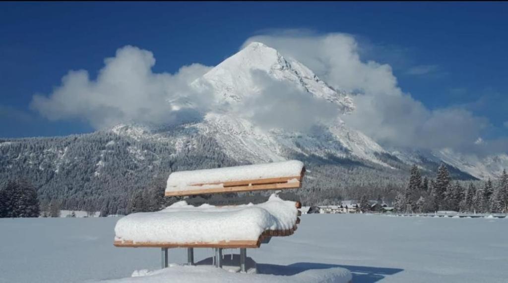 Alpenchalet Im Leutaschtal Ngoại thất bức ảnh