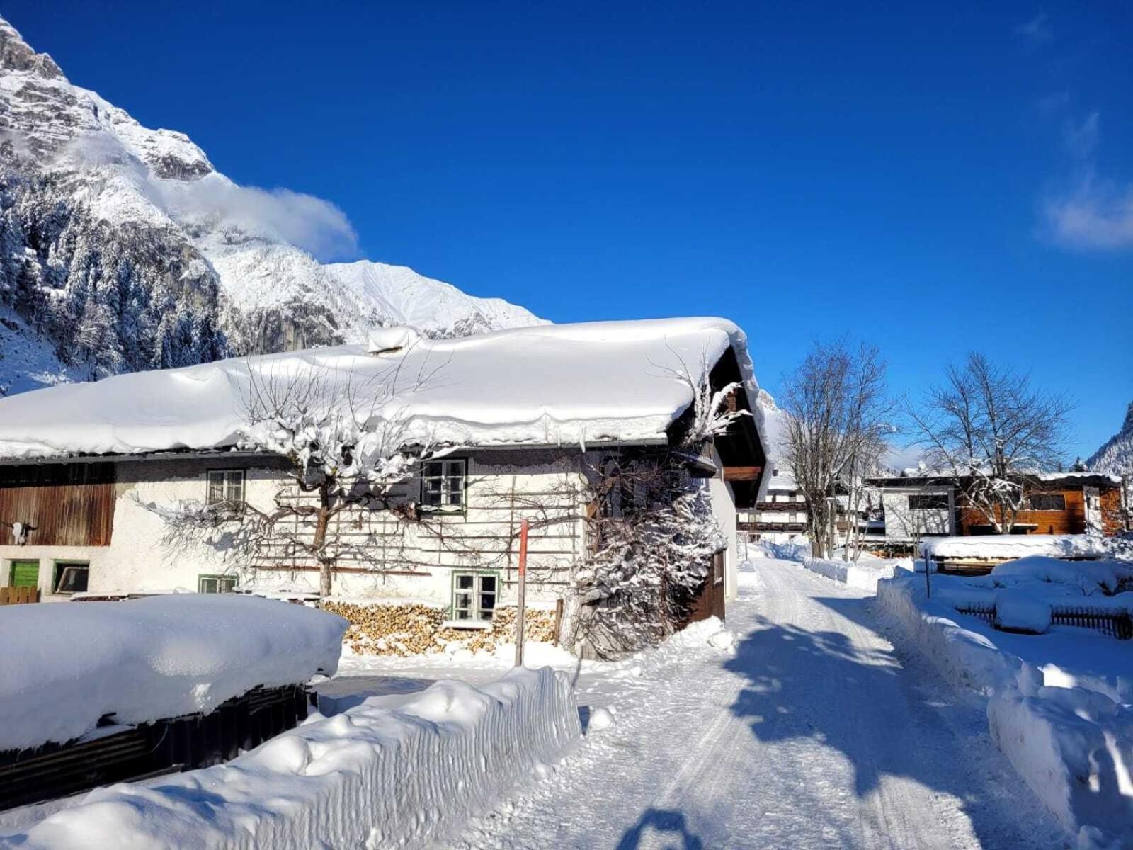 Alpenchalet Im Leutaschtal Ngoại thất bức ảnh